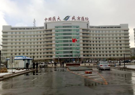 没有精子的人可以做供卵试管婴儿吗