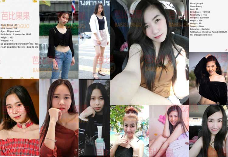 借卵做代怀借卵试管会不会调整吸奶力度（借卵做试管代生代怀的吸奶力度不大）