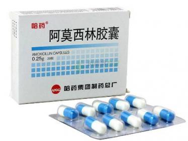 单身男士做供卵代生试管的费用和步骤