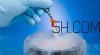 验血子宫萎缩能做借卵助孕代怀试管吗AMH检查会有什么优势