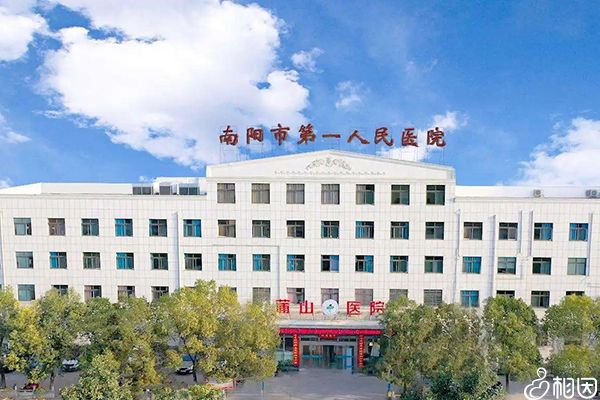 北京供卵自怀医院哪家好