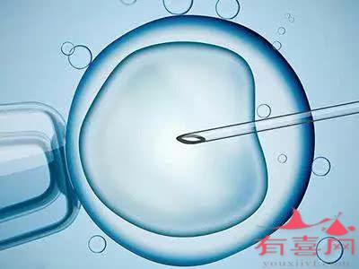 一代供卵做自怀试管供卵全套费用多少