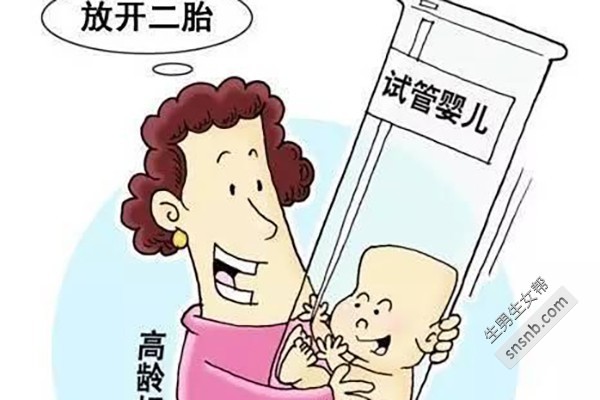 广州赠卵试管婴儿医院排名