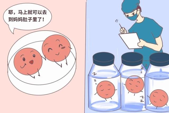 试管移植后食谱表