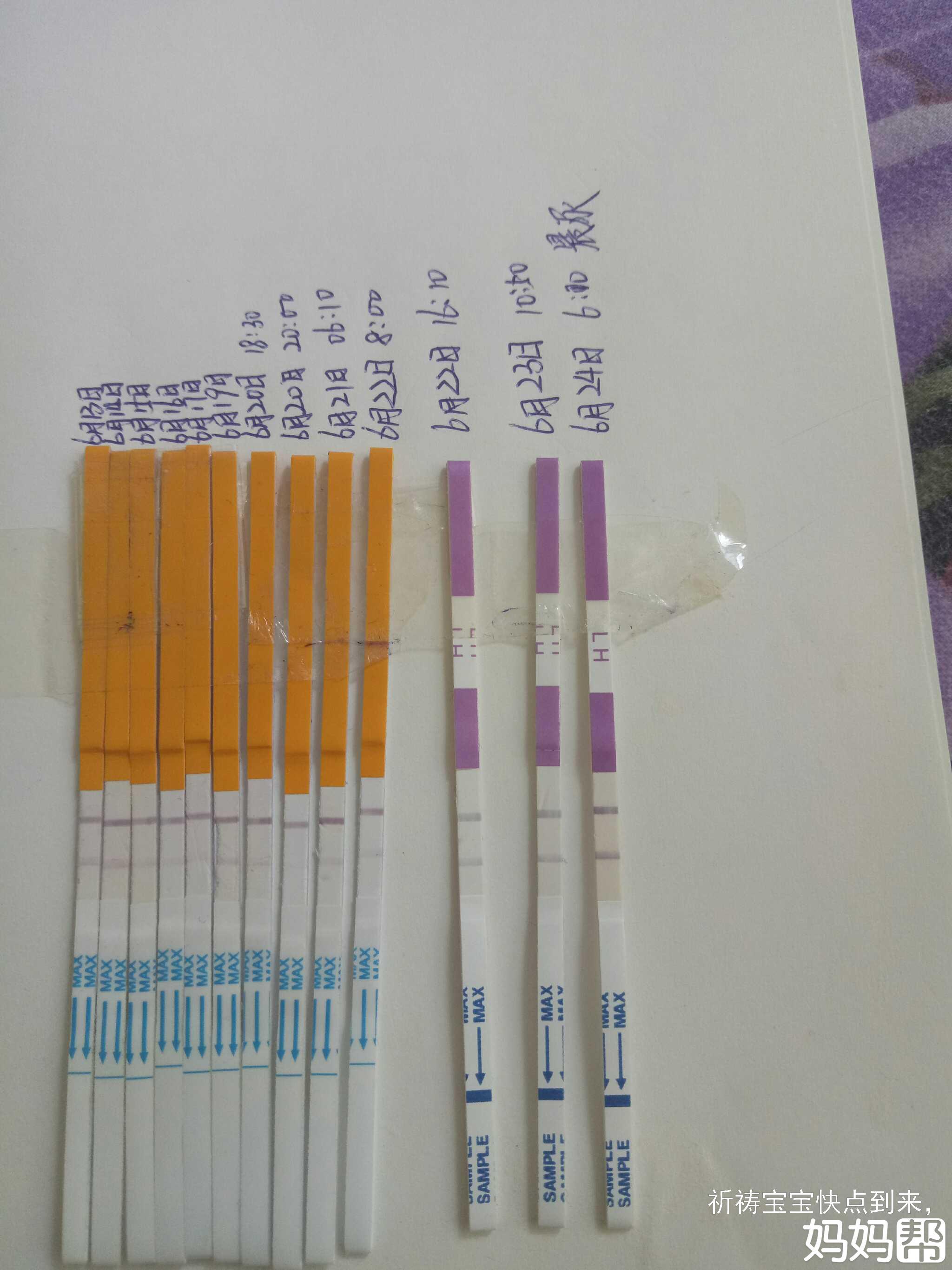 试管需要带什么证件