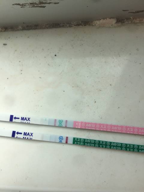 生殖代怀服务移植费用贵吗