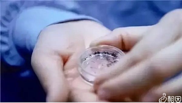 取卵第20天同房怀孕(取卵已经过去20天能同房吗)