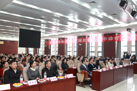 中美试管代怀降调+广州市代怀试管生女孩