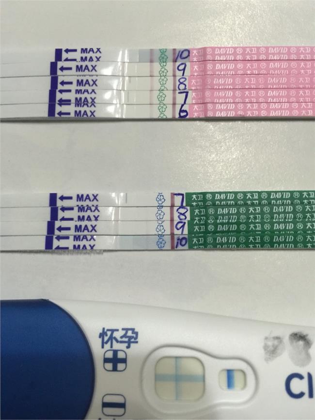移植两个4bb囊胚成功率高吗,等级4bb