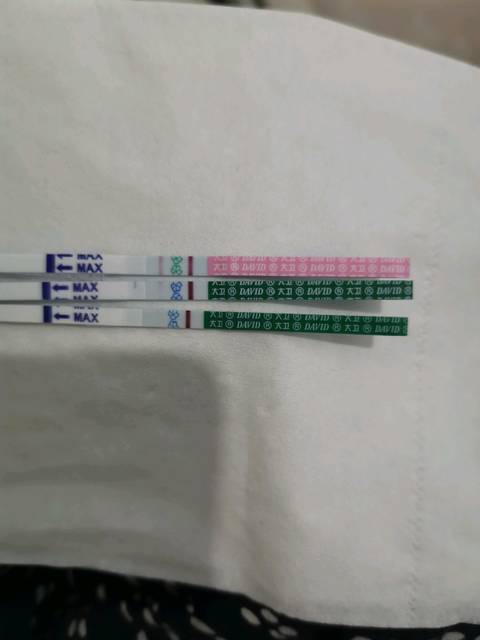 移植两个4bb囊胚成功率高吗,等级4bb