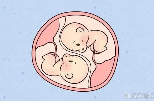 胚胎实验室在广州试管代怀哪家成功率高周期中的重要性