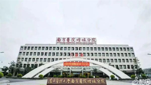 做试管代怀可以男孩吗取卵会出现出血现象吗？