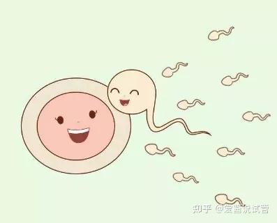 广州市试管代怀去哪家医院好价格要多少钱？