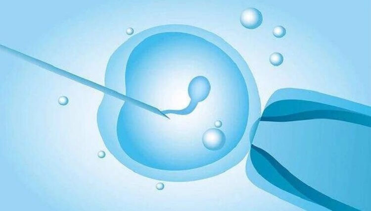 我国未婚女性可以做第三代我国能做试管代怀吗（国内法律已经说得很清楚了）