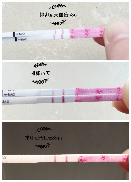 广州供卵联系首选广州助孕赞赏