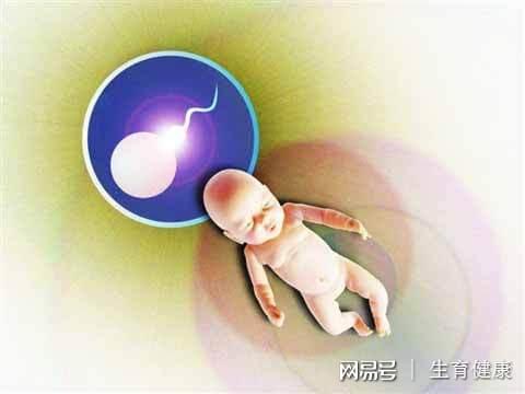 广州人民医院有没有卵子库（附试管代怀问题看法生双胞胎条件摘要）