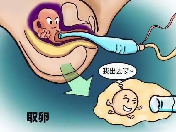 给别人代生孩子多少钱婴儿打排卵针怎么防止腹水的出现