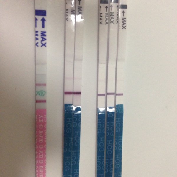 同性恋代生孩子胚胎过程你真的清楚吗