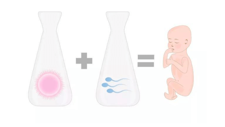 广州哪家医院试管好,附试管助孕费用及成功率一览+