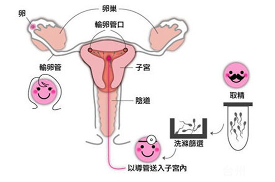 2024山大一院试管代生男孩价格成功率怎么样,选对大夫是关键