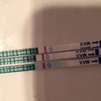 广州市爱维医院试管代怀公司服务怎么样卵巢功能好不好（看这6个表现就知道了）