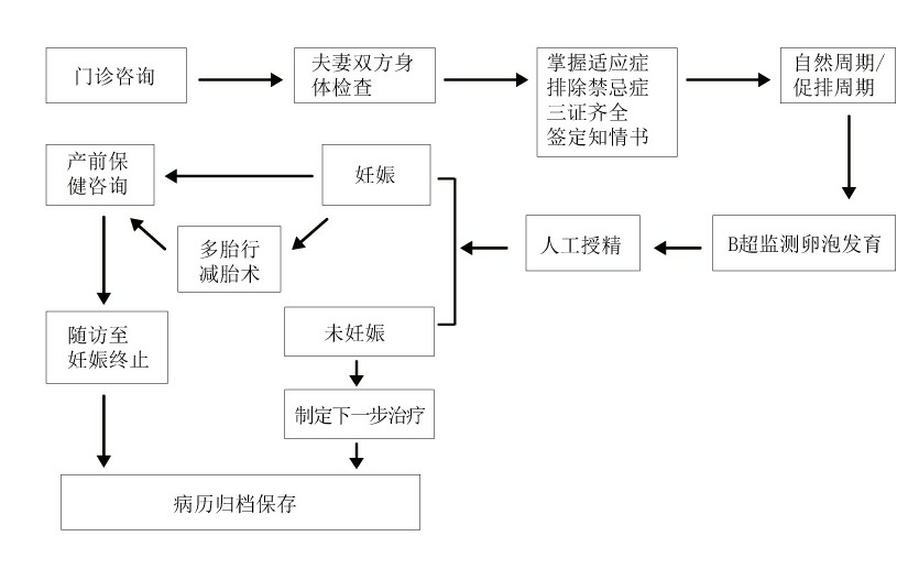 试管代怀成功率咨询检查hpv值吗