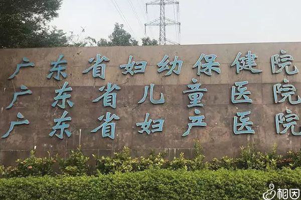 2024广州市高龄失独供卵生子医院排名汇总,不知道成功率和费用可别擅选