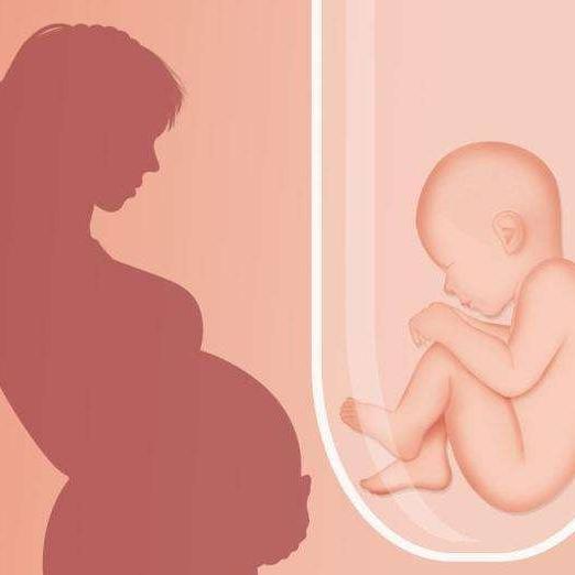 广州市市妇幼保健院可以做供卵借精试管婴儿费用吗（附费用一览）